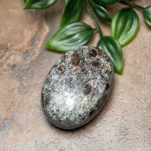 Garnet in Staurolite Palmstone #2