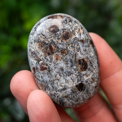 Garnet in Staurolite Palmstone #2