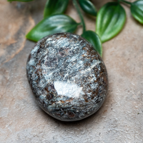 Garnet in Staurolite Palmstone #1