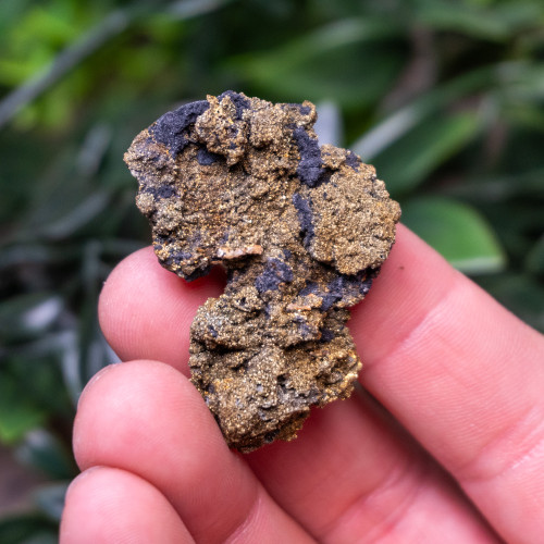 Chalcopyrite on Siderite #3