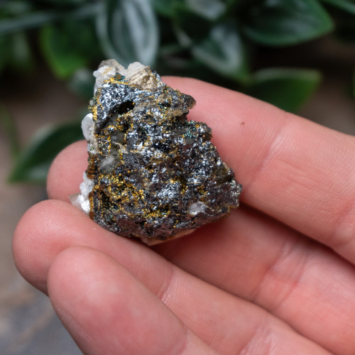 Chalcopyrite on Siderite #2