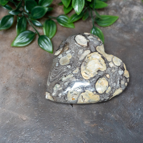 Geyserite Large Heart #1