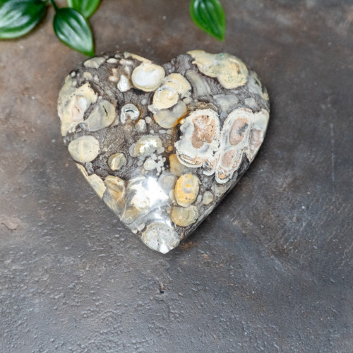 Geyserite Large Heart #1