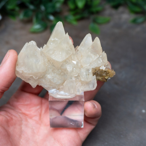 Yellow Fluorite with Calicte and Pyrite #1