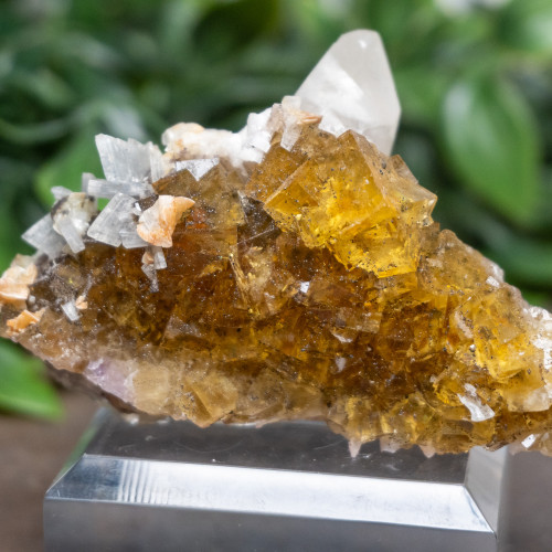 Yellow Fluorite with Pyrite, Calcite, Dolomite & Blue Barite #5