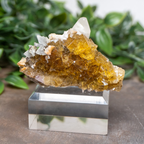 Yellow Fluorite with Pyrite, Calcite, Dolomite & Blue Barite #5