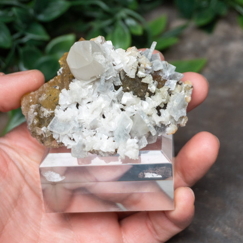 Yellow Fluorite with Pyrite, Calcite, Dolomite & Blue Barite #5