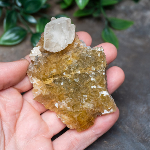 Yellow Fluorite with Pyrite, Calcite, Dolomite & Blue Barite #4