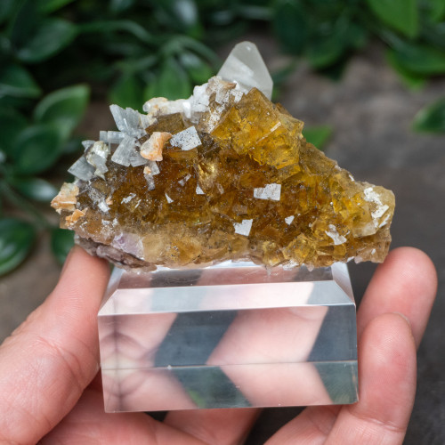 Yellow Fluorite with Pyrite, Calcite, Dolomite & Blue Barite #5