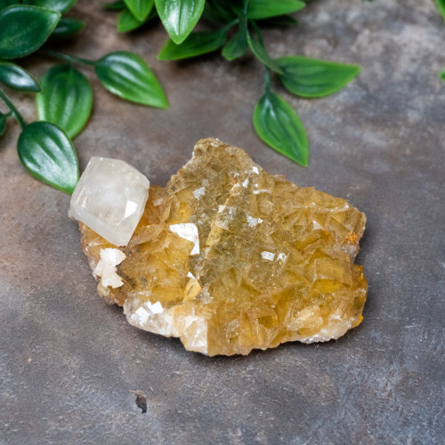 Yellow Fluorite with Pyrite, Calcite, Dolomite & Blue Barite #4