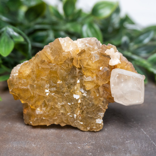 Yellow Fluorite with Pyrite, Calcite, Dolomite & Blue Barite #4