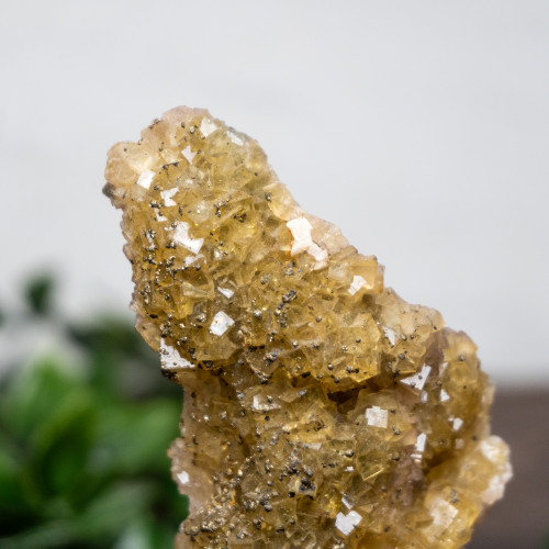 Yellow Fluorite with Pyrite #3