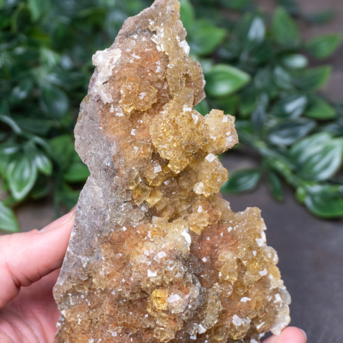 Yellow Fluorite with Pyrite #1