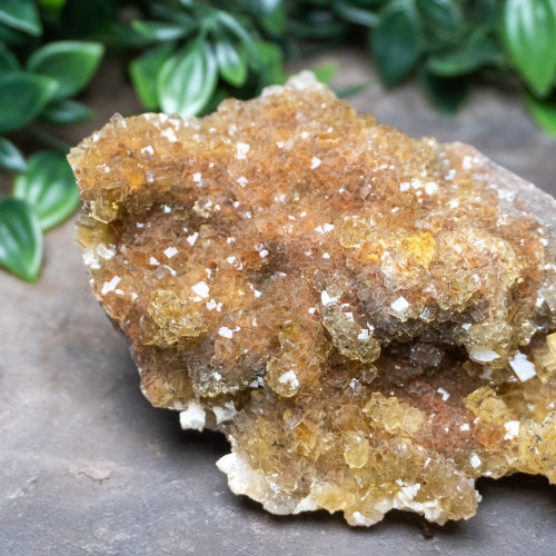 Yellow Fluorite with Pyrite #1