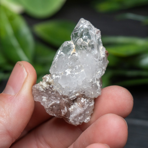 Axinite in Quartz #1