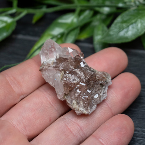 Axinite in Quartz #1