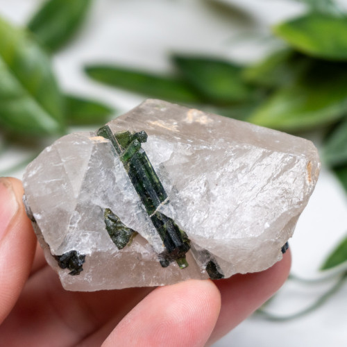 Green Tourmaline in Quartz #1