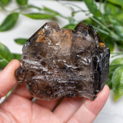 Elestial Smoky Quartz #3