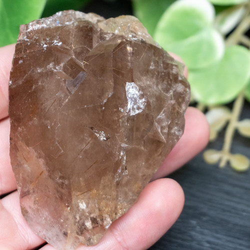 Smoky Elestial Quartz with Rutile #1