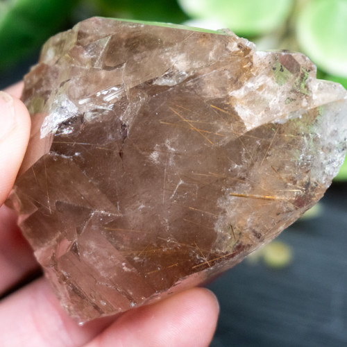 Smoky Elestial Quartz with Rutile #1