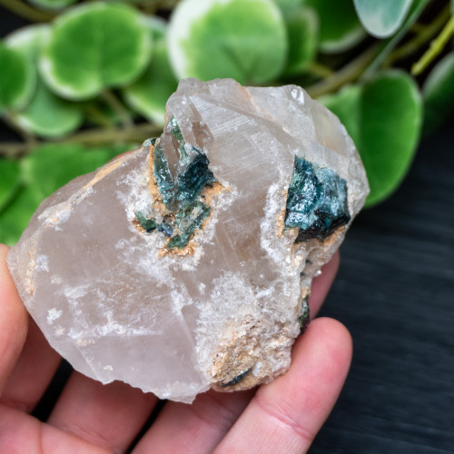 Blue Tourmaline & Green Tourmaline on Smoky Quartz #1