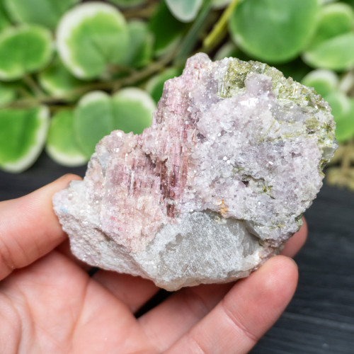 XL Watermelon Tourmaline with Lepidolite #1