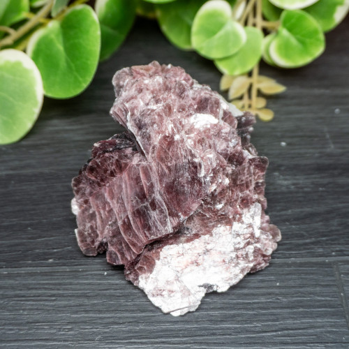 Lepidolite A+ Quality Raw #1