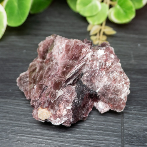 Lepidolite A+ Quality Raw #1