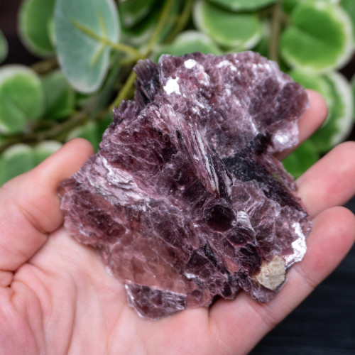 Lepidolite A+ Quality Raw #1