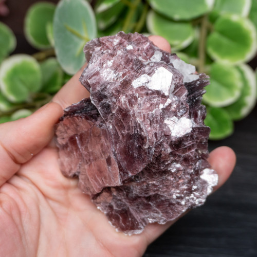 Lepidolite A+ Quality Raw #1