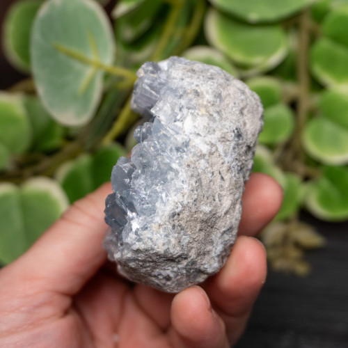 Celestite Raw #15