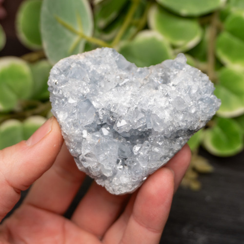 Celestite Raw #13