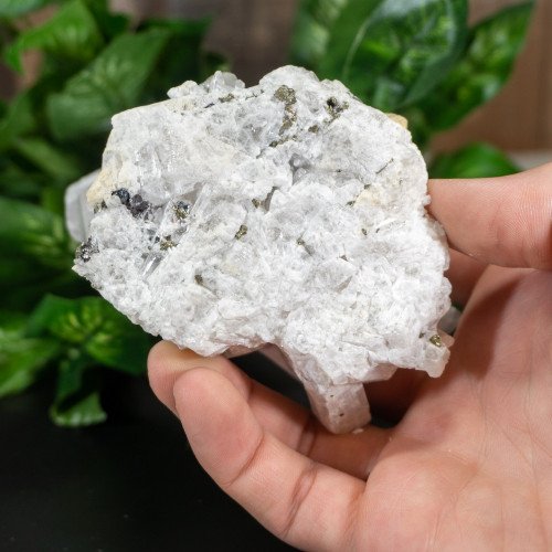 Raw Danburite Family With Pyrite #1