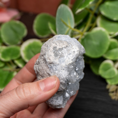 Celestite Raw #11