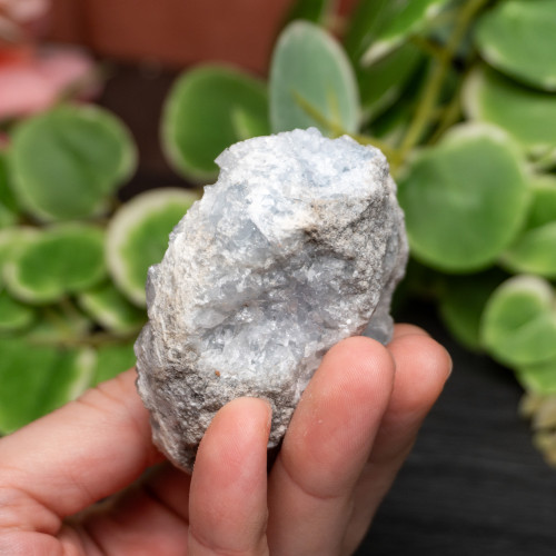 Celestite Raw #11