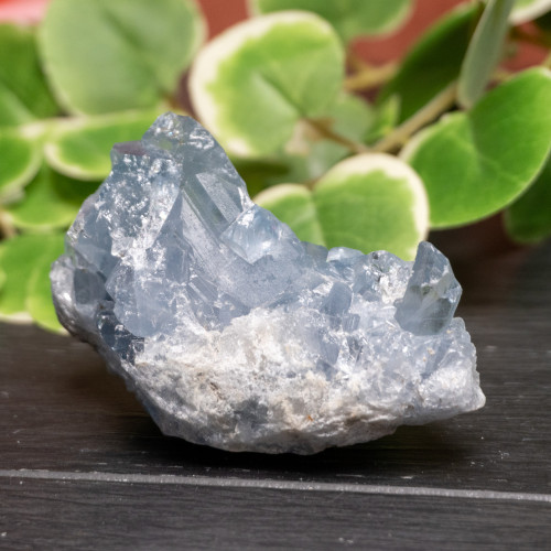 Celestite Raw #10