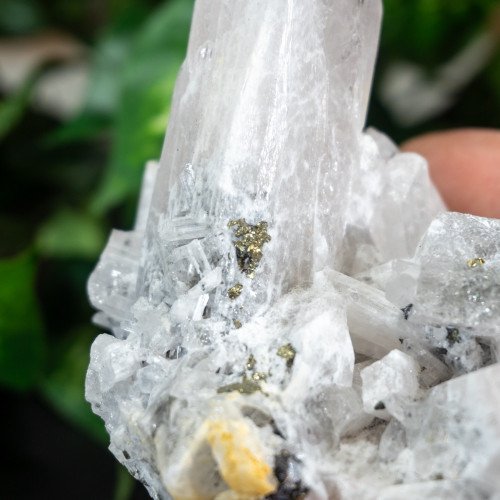 Raw Danburite Family With Pyrite #1