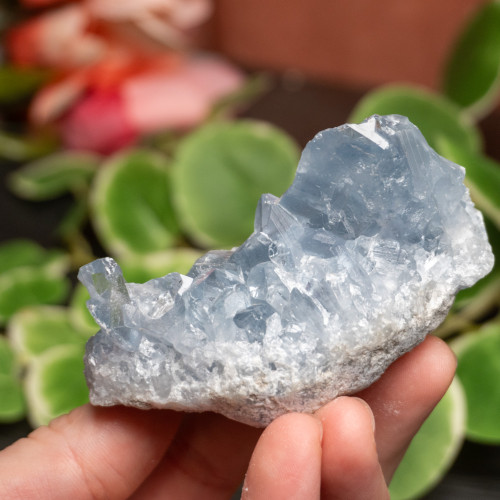 Celestite Raw #10