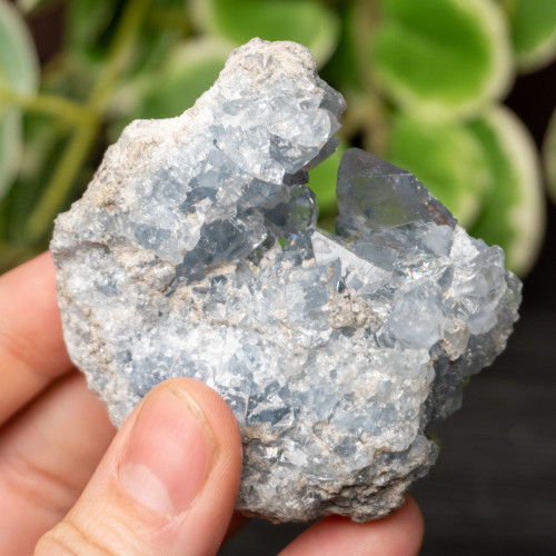 Celestite Raw #9