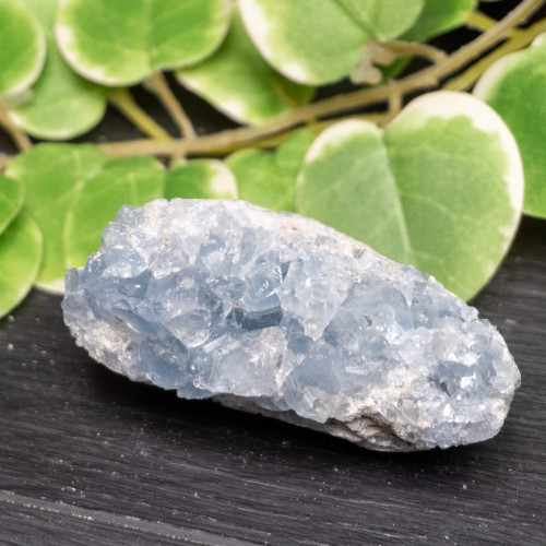 Celestite Raw #8