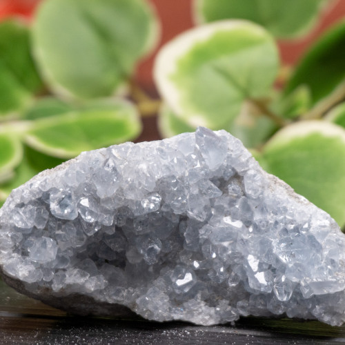 Celestite Raw #7