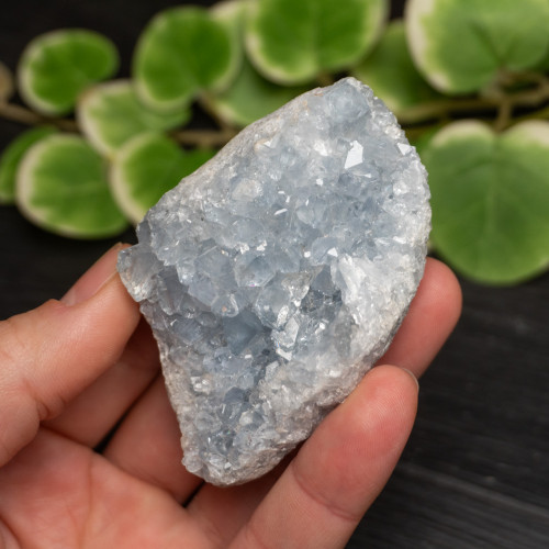 Celestite Raw #6