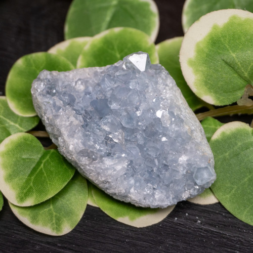 Celestite Raw #6