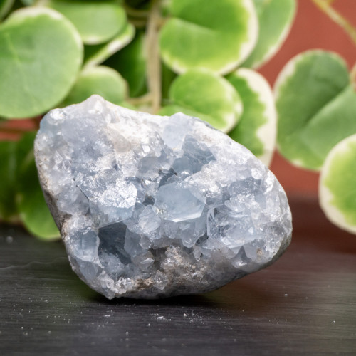 Celestite Raw #5