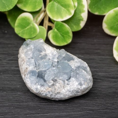 Celestite Raw #5