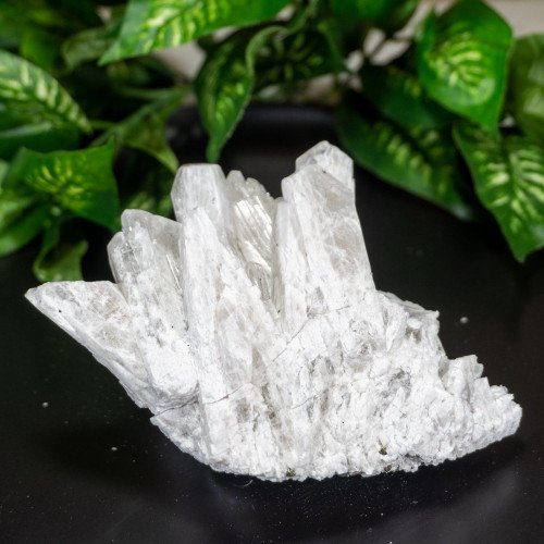 Raw Danburite Family With Pyrite #2