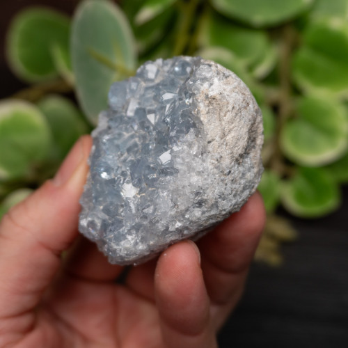 Celestite Raw #4