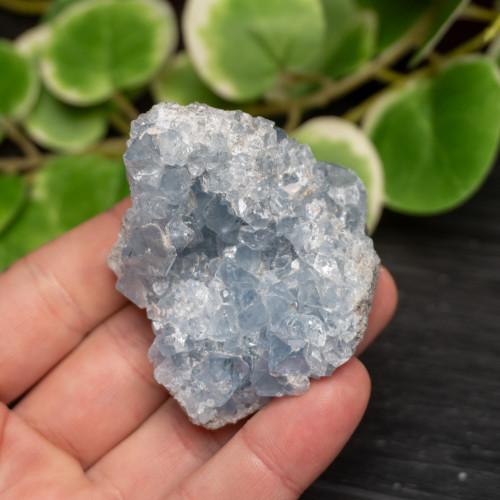 Celestite Raw #3