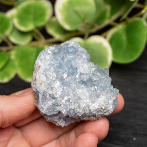 Celestite Raw #3