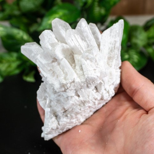 Raw Danburite Family With Pyrite #2